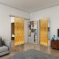 Glasschiebetür SLIM-LINE - Fineprint Modell 029 Gold auf Grauglas