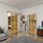 Glasschiebetür SLIM-LINE - Fineprint Modell 069 Gold auf Grauglas