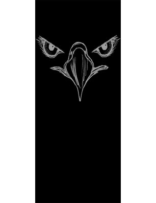 Glasschiebetür SLIM-LINE Eagle Eye Gelasert Auf Klarglas