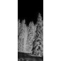 Glasschiebetür SLIM-LINE Winterwald Gelasert Auf Klarglas