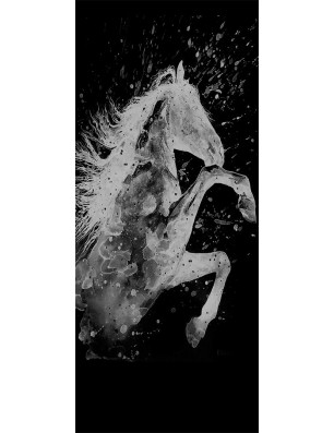 Glasschiebetür SLIM-LINE flying Horse Gelasert Auf Klarglas