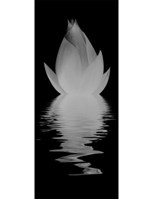 Glasschiebetür SLIM-LINE Lotus Gelasert Auf Klarglas