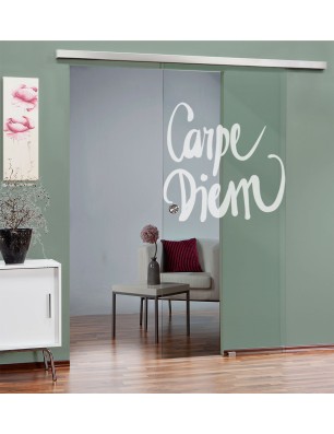 Glasschiebetür SLIM-LINE Carpe Diem Gelasert Auf Klarglas