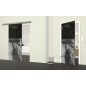 Glasschiebetür SLIM-LINE Steg III Gelasert Auf Grauglas