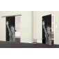 Glasschiebetür SLIM-LINE Freiheitsstatue Gelasert Auf Grauglas