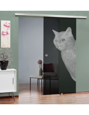 Glasschiebetür SLIM-LINE Cats Gelasert Auf Grauglas