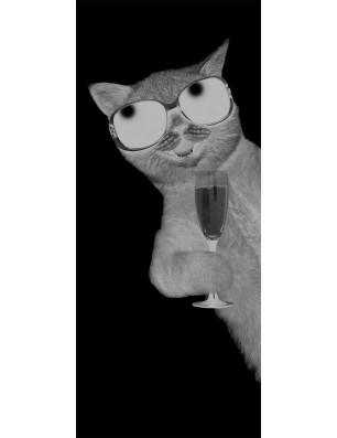 Glasschiebetür SLIM-LINE Drinking Cat Gelasert Auf Grauglas