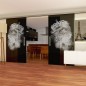 Glasschiebetür SLIM-LINE Lionking Gelasert Auf Grauglas
