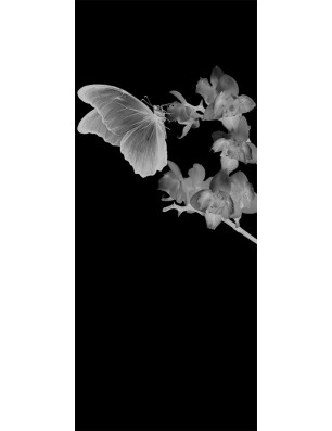 Glasschiebetür PIPE-LINE Butterfly Gelasert Auf Klarglas