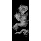 Glasschiebetür PIPE-LINE Dragon Gelasert Auf Grauglas