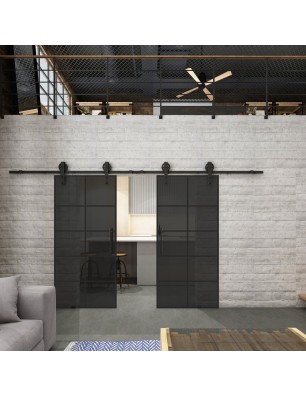 Glasschiebetür BARN-LINE Loft Schwarzlack 05 Auf Grauglas