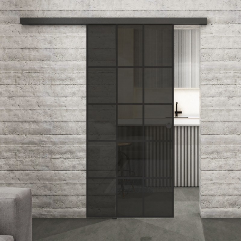 Glasschiebetür BLACK-LINE Loft Schwarzlack 09 Auf Grauglas
