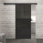 Glasschiebetür BLACK-LINE Loft Schwarzlack 22 Auf Grauglas Glasschiebetür BLACK-LINE Loft Schwarzlack 22 Auf Grauglas