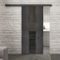 Glasschiebetür BLACK-LINE Loft Schwarzeisen Genietet 36 Auf Grauglas