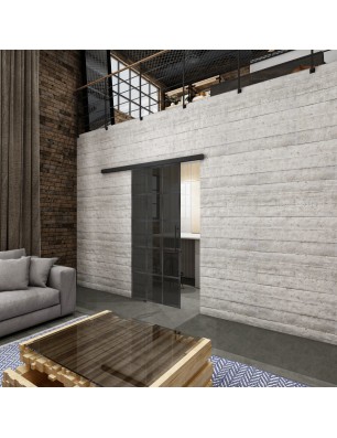 Glasschiebetür BLACK-LINE Loft Schwarzeisen Genietet 09 Auf Grauglas
