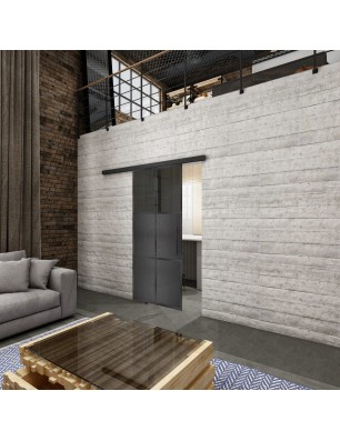 Glasschiebetür BLACK-LINE Loft Schwarzeisen Genietet 19 Auf Grauglas
