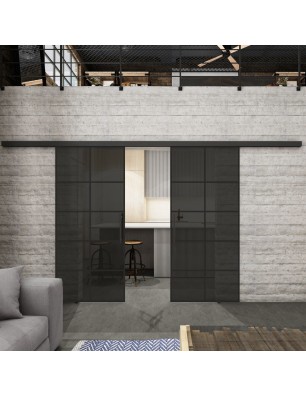 Glasschiebetür BLACK-LINE Loft Schwarzlack 05 Auf Grauglas