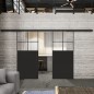 Glasschiebetür BLACK-LINE Loft Schwarzlack 23 Auf Klarglas