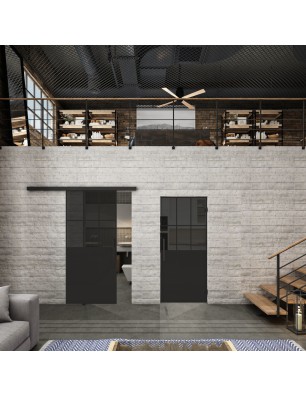 Glasschiebetür BLACK-LINE Loft Schwarzlack 28 Auf Grauglas