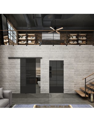 Glasschiebetür BLACK-LINE Loft Schwarzlack 34 Auf Grauglas
