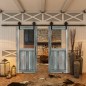 Glasschiebetür BARN-LINE - Country Bunt geplankt Modell 22