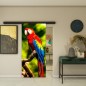 Glasschiebetür BLACK-LINE - Fotoprint Modell 248