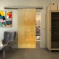 Glasschiebetür SLIM-LINE - Fineprint Modell 050 Gold auf Klarglas