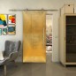 Glasschiebetür PIPE-LINE - Fineprint Modell 025 Gold auf Grauglas